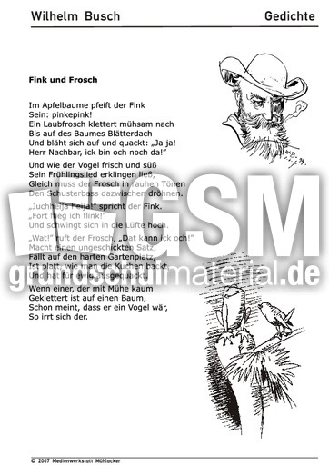 Fink und Frosch 2.pdf